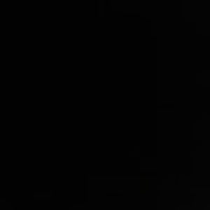 Meet your Posher, Ansley